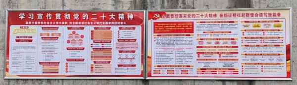 圖片 12
