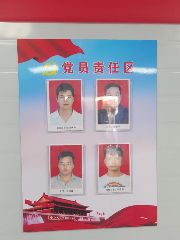 圖片 12