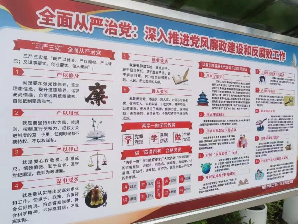 圖片 5